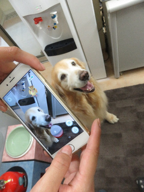 ファイル 5840-3.jpg