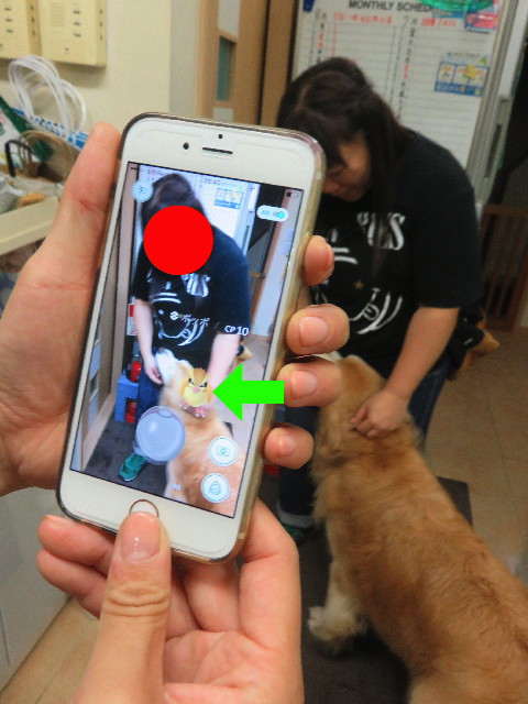 ファイル 5840-5.jpg