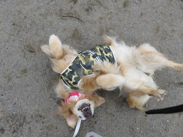 ファイル 5844-1.jpg