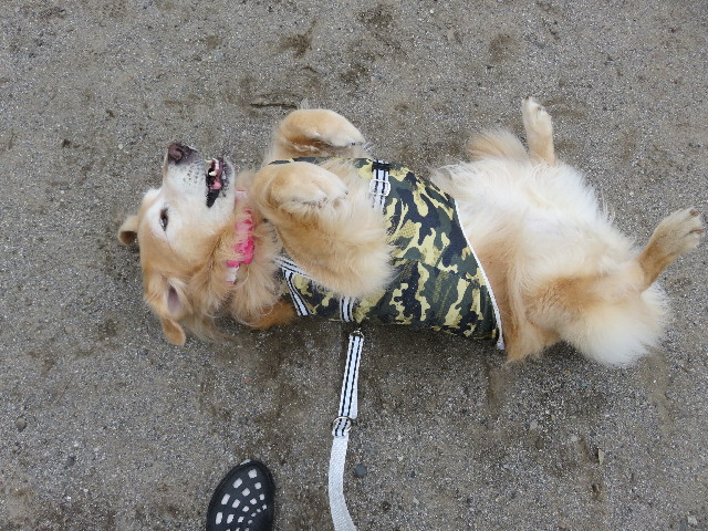 ファイル 5844-2.jpg