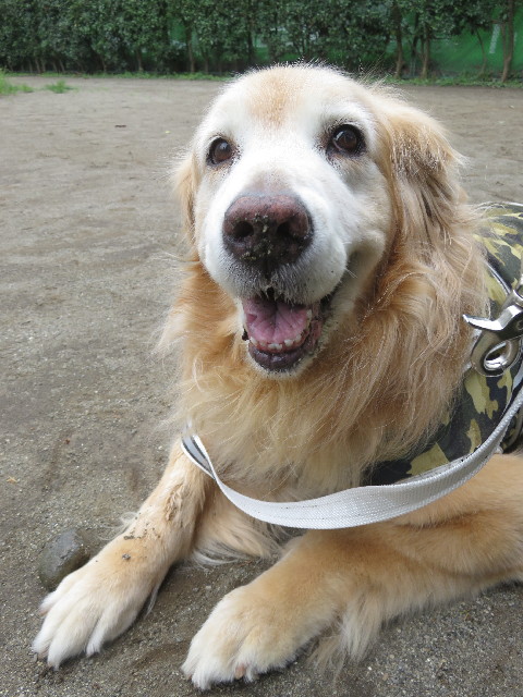 ファイル 5844-4.jpg