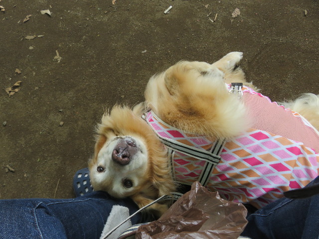 ファイル 5845-1.jpg