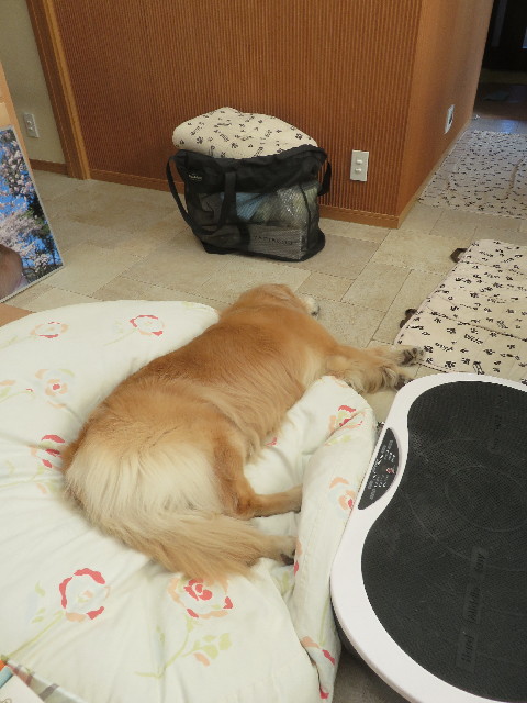 ファイル 5847-1.jpg