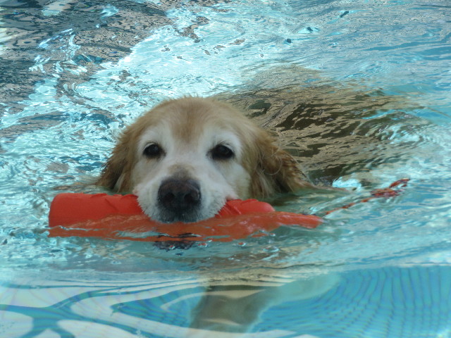 ファイル 5847-3.jpg