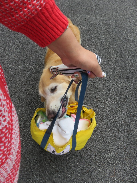 ファイル 5849-1.jpg