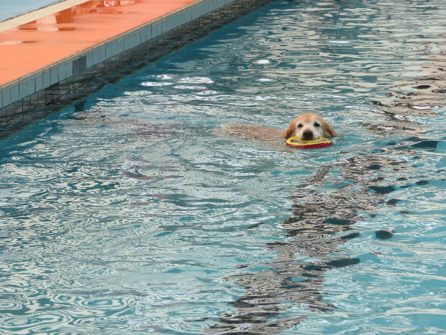 ファイル 5849-3.jpg