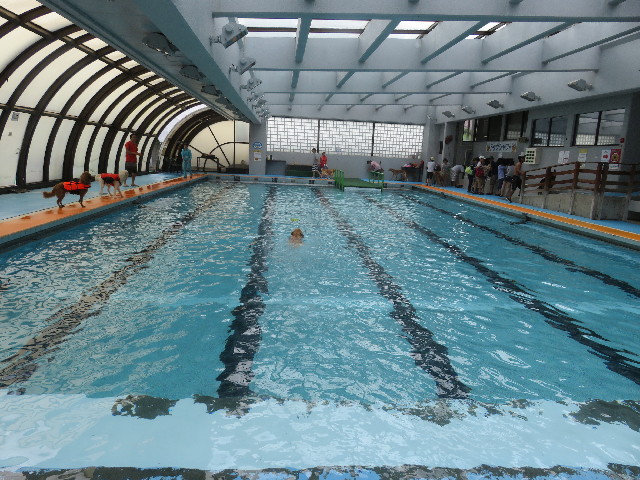 ファイル 5849-4.jpg