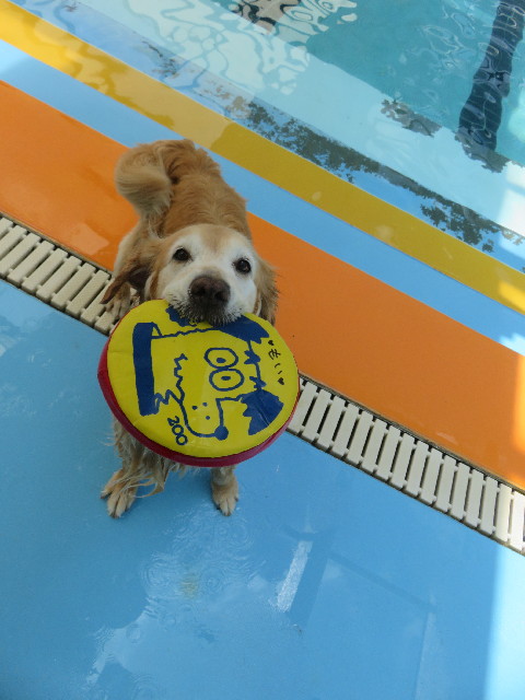 ファイル 5849-5.jpg