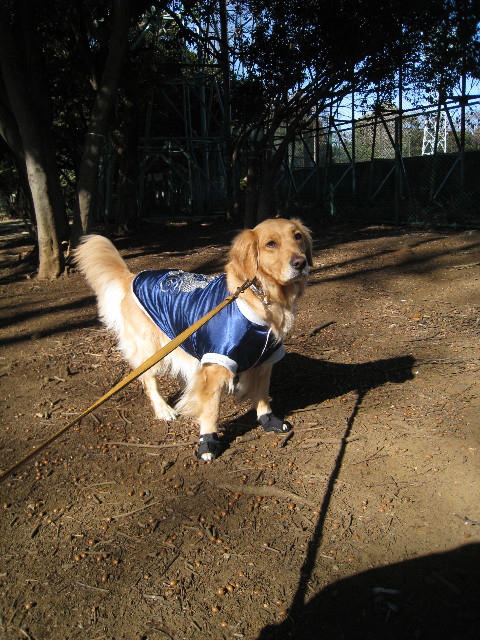 ファイル 585-3.jpg