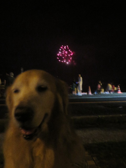 ファイル 5850-1.jpg