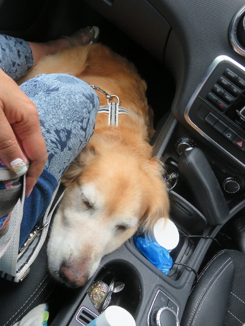 ファイル 5850-3.jpg