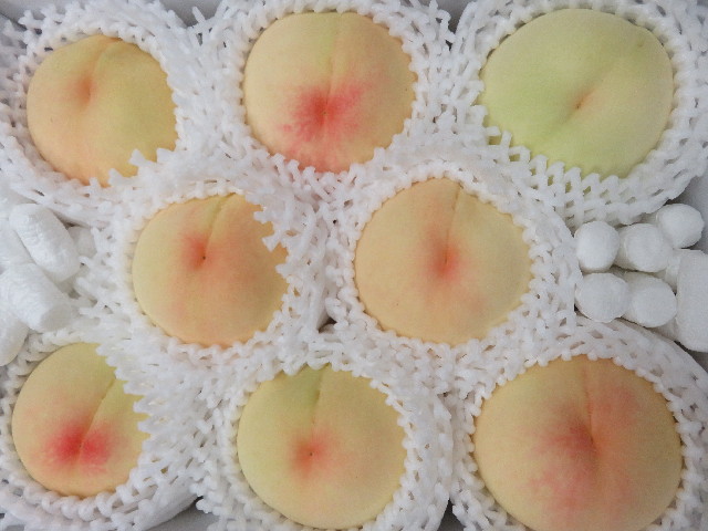 ファイル 5851-1.jpg