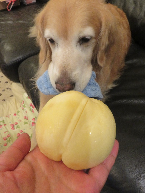 ファイル 5851-2.jpg