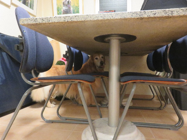 ファイル 5852-2.jpg