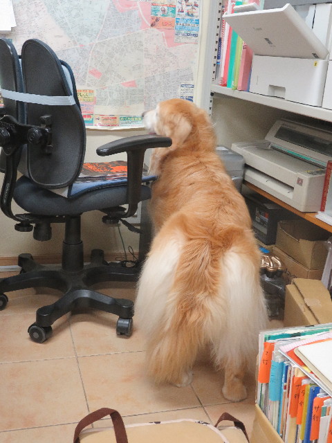 ファイル 5852-3.jpg