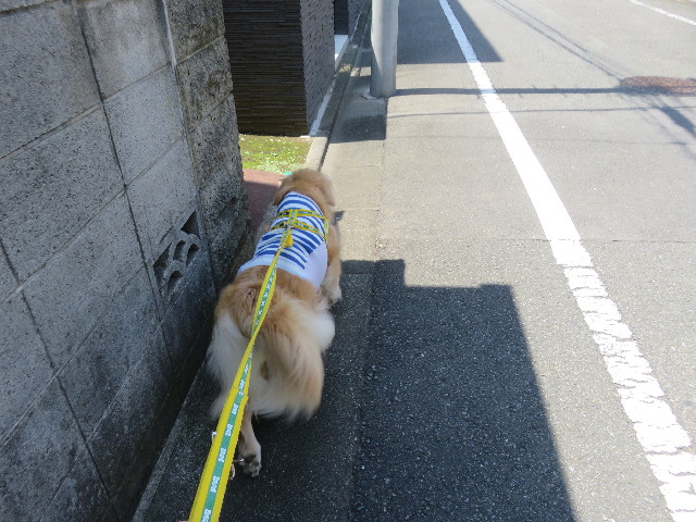 ファイル 5853-3.jpg