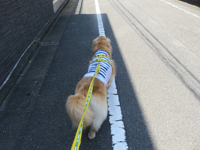 ファイル 5853-4.jpg