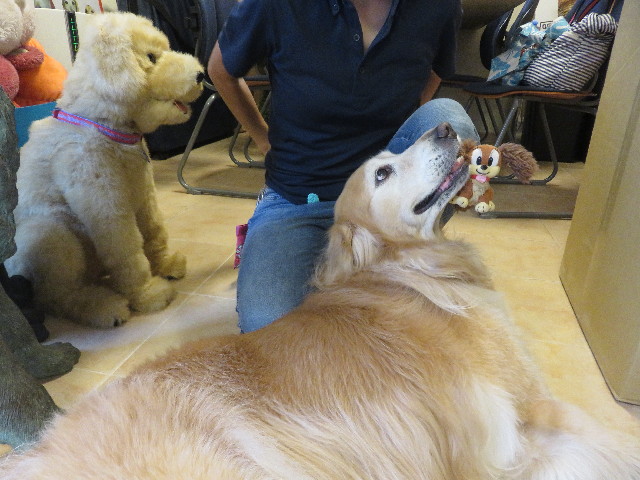 ファイル 5854-4.jpg