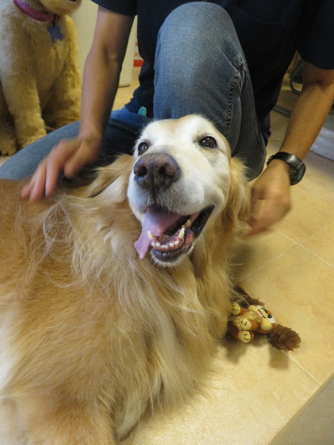 ファイル 5854-5.jpg