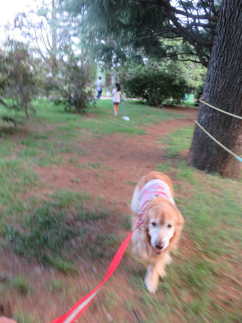 ファイル 5856-1.jpg