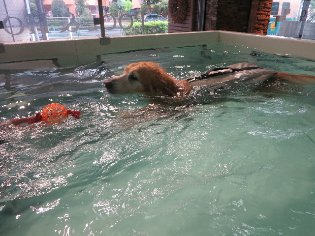 ファイル 5858-3.jpg