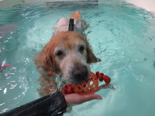 ファイル 5858-4.jpg