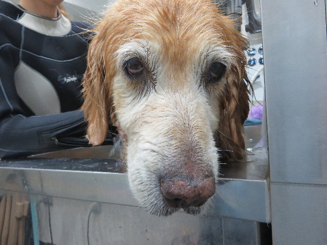 ファイル 5858-5.jpg