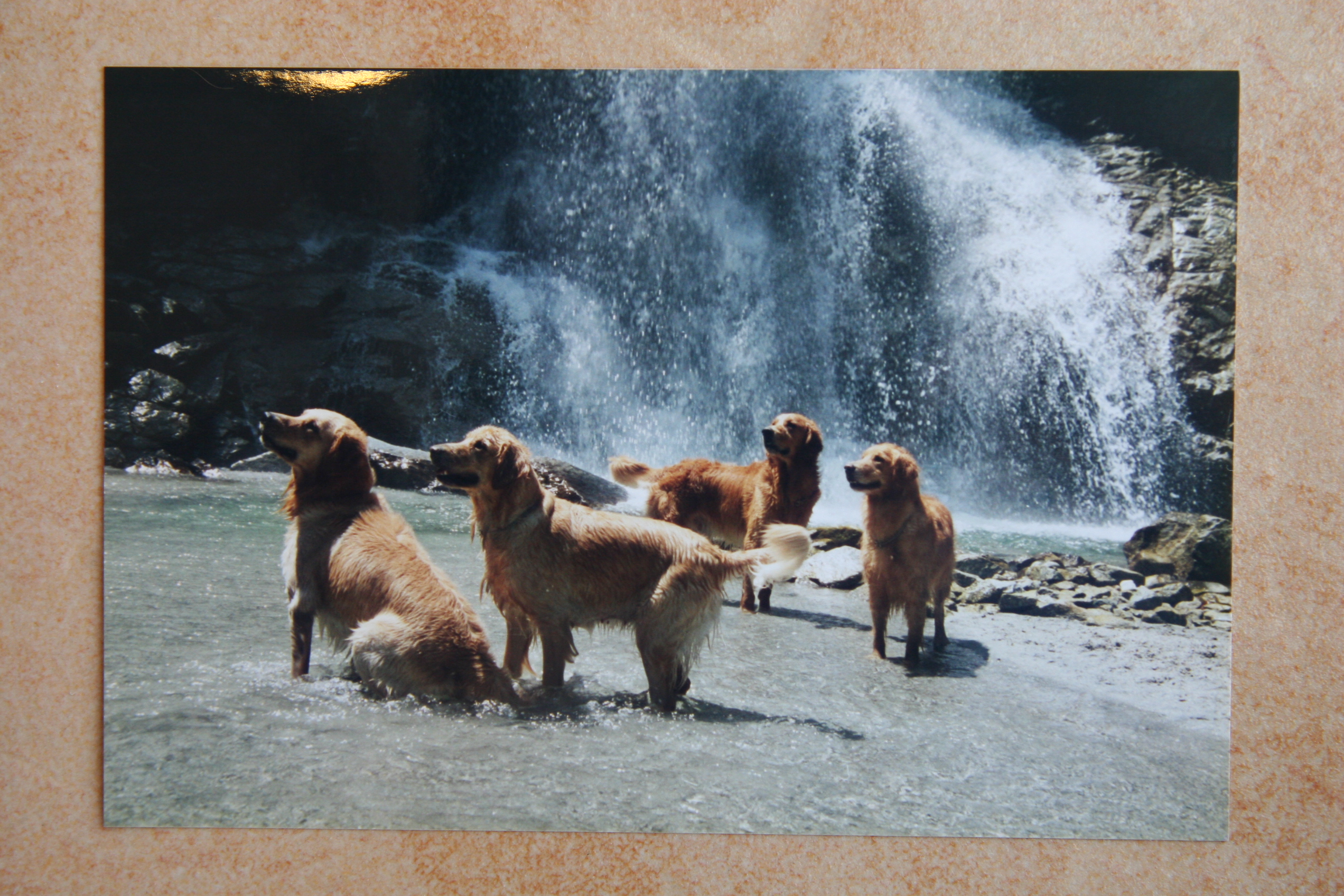 ファイル 5859-2.jpg