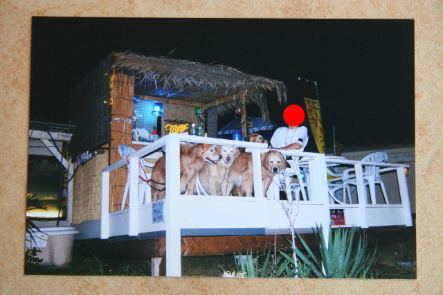 ファイル 5859-3.jpg