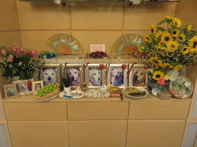 ファイル 5859-4.jpg