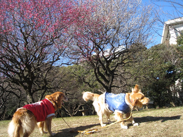 ファイル 586-4.jpg