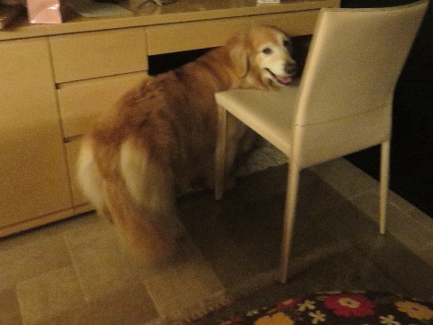 ファイル 5860-1.jpg