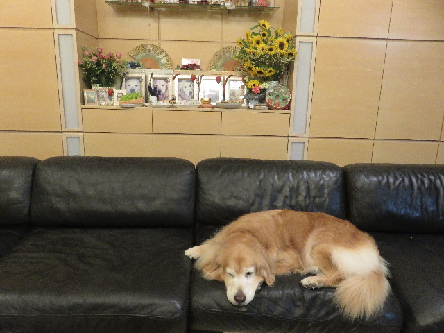 ファイル 5860-2.jpg