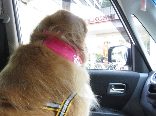 ファイル 5861-1.jpg