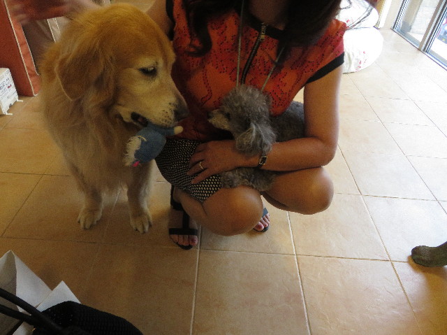 ファイル 5862-3.jpg