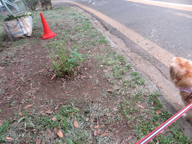 ファイル 5862-5.jpg