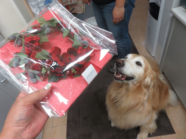 ファイル 5864-5.jpg