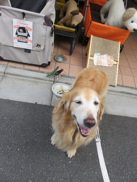 ファイル 5865-1.jpg