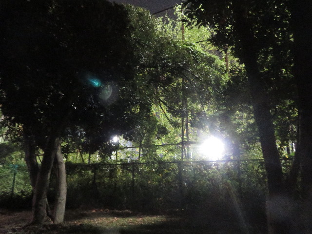 ファイル 5866-1.jpg