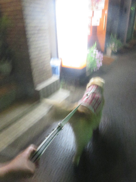 ファイル 5866-2.jpg