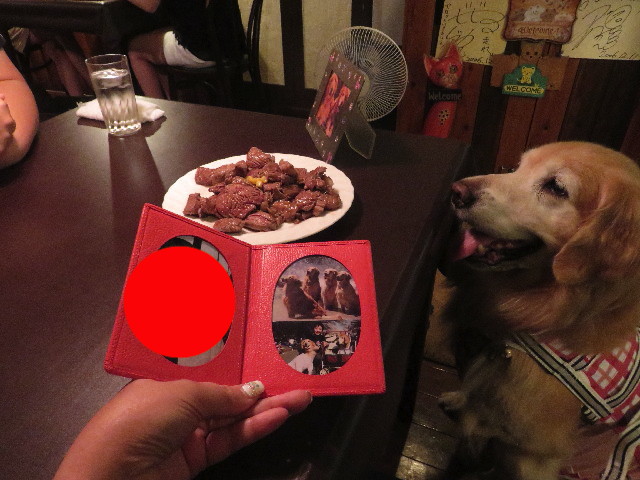 ファイル 5866-3.jpg