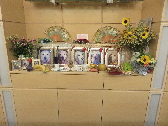 ファイル 5866-5.jpg