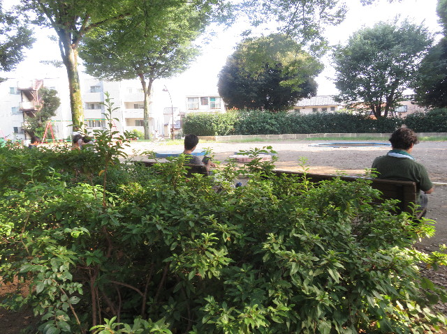 ファイル 5867-1.jpg