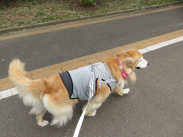 ファイル 5867-3.jpg