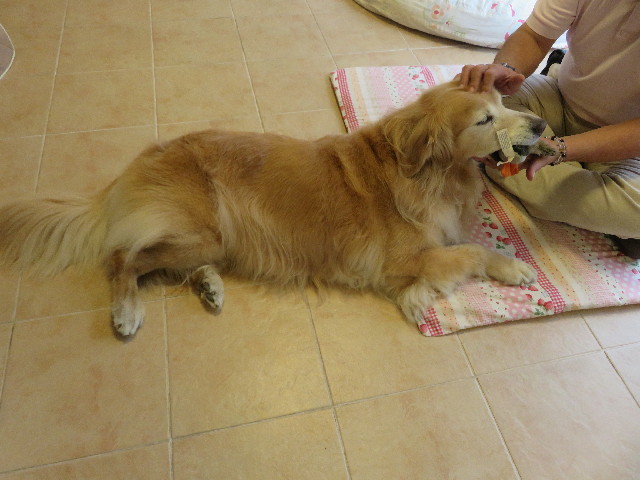 ファイル 5867-4.jpg