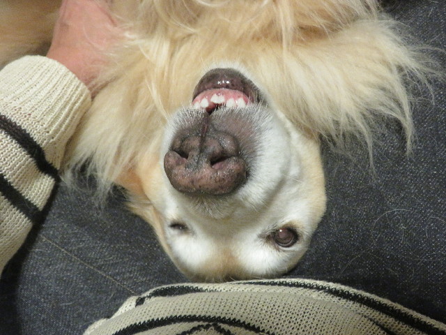 ファイル 5867-5.jpg