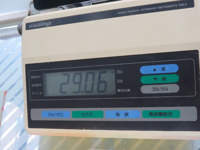 ファイル 5868-4.jpg