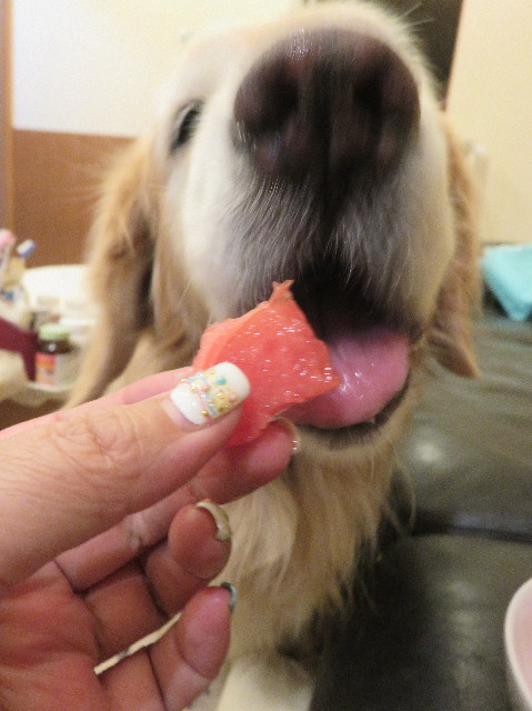 ファイル 5869-2.jpg