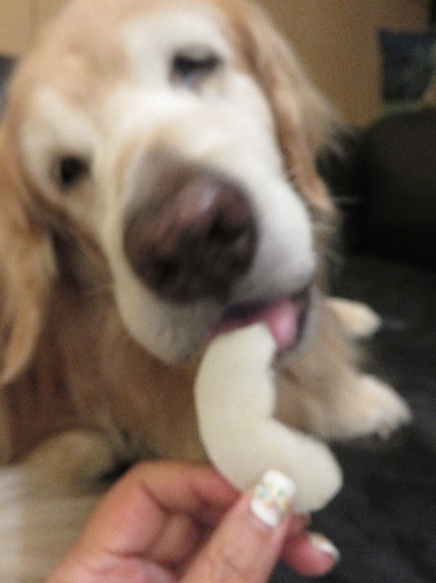 ファイル 5869-3.jpg