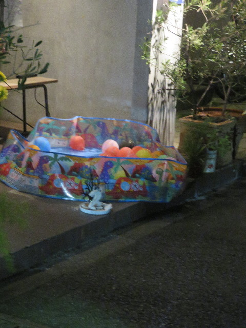 ファイル 5869-5.jpg